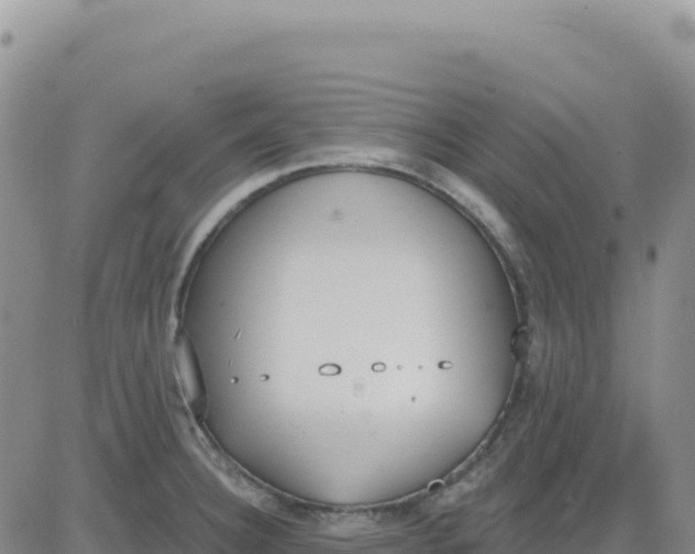 X0000080671332200612301350