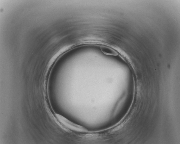 X0000080671333200612301350