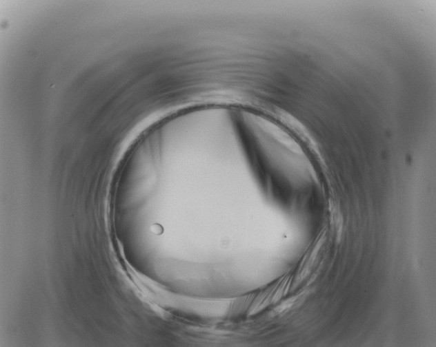 X0000080671334200612301350