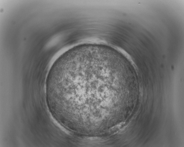 X0000080671335200612301350