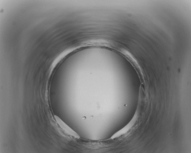 X0000080671336200612301350