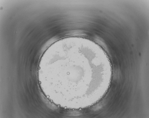 X0000080671338200612301350