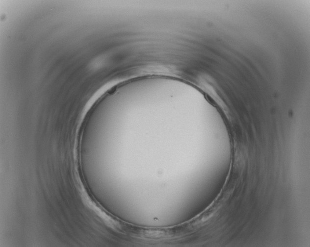 X0000080671339200612301350