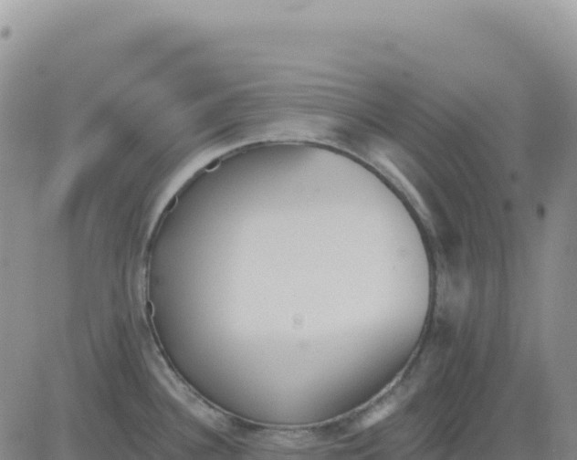 X0000080671340200612301350