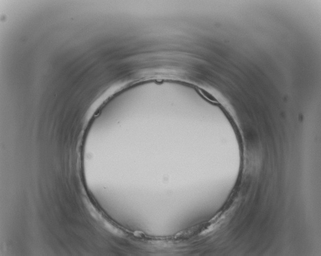 X0000080671341200612301350