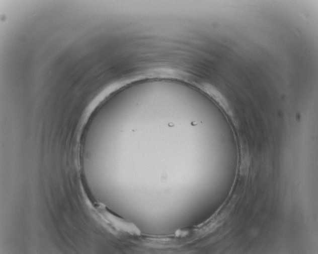 X0000080671342200612301351