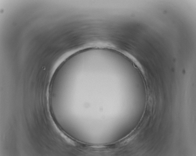 X0000080671343200612301351