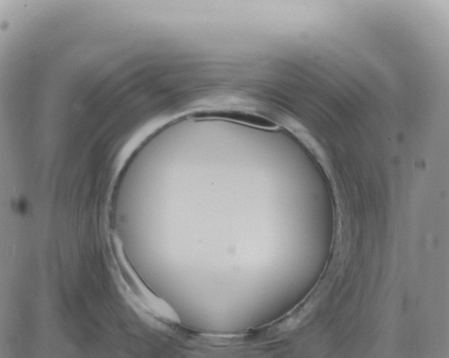 X0000080671344200612301351