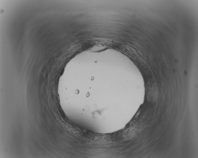 X0000080671345200612301350