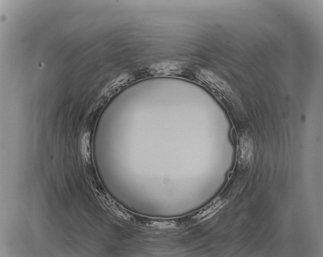 X0000080671346200612301350