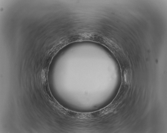 X0000080671347200612301350