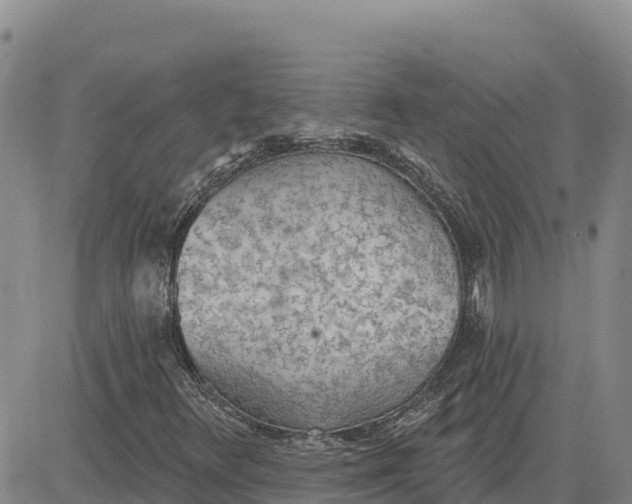 X0000080671348200612301350