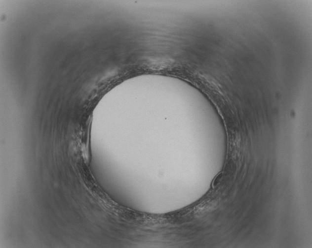 X0000080671349200612301350