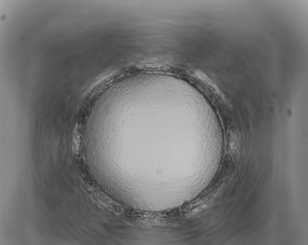 X0000080671350200612301350