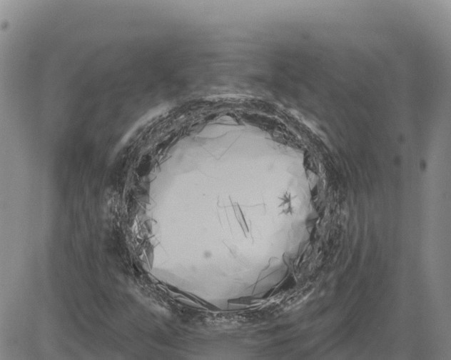 X0000080671351200612301350