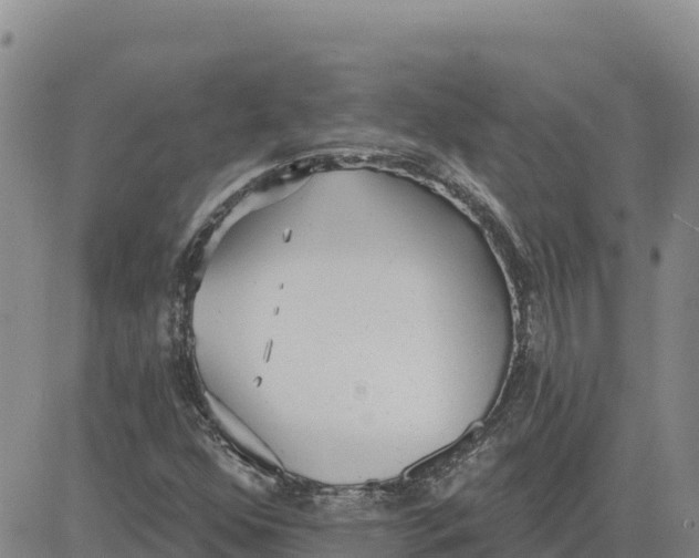 X0000080671352200612301350