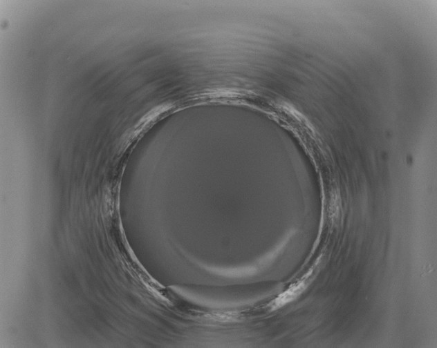 X0000080671353200612301350