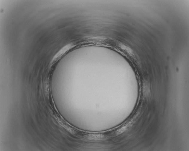 X0000080671354200612301350