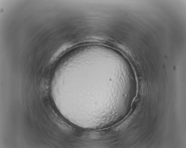 X0000080671355200612301350