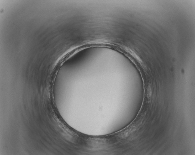 X0000080671356200612301350