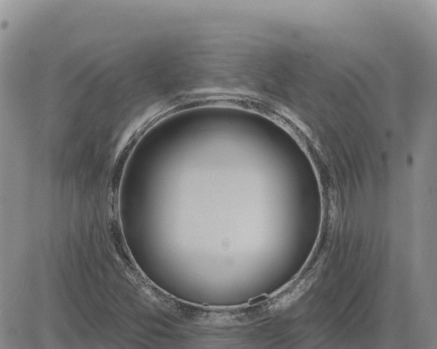 X0000080671357200612301350