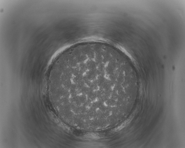 X0000080671358200612301350