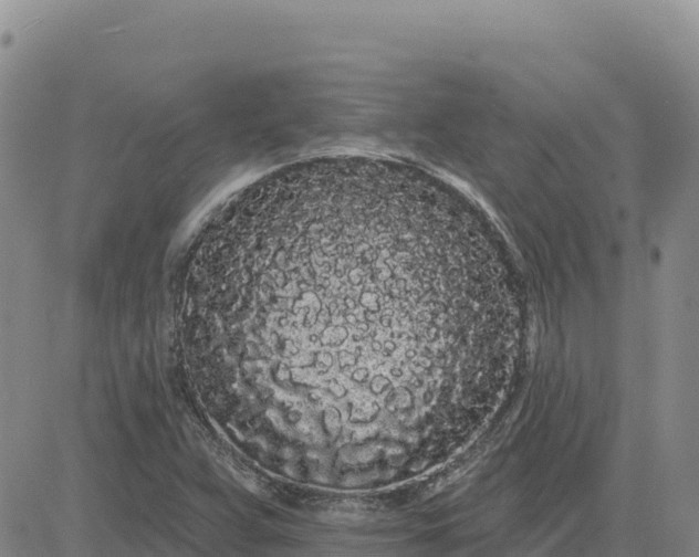 X0000080671359200612301350