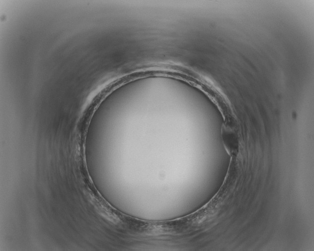 X0000080671360200612301350