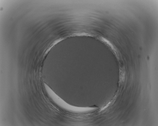 X0000080671361200612301350