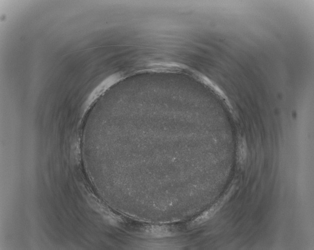 X0000080671362200612301349