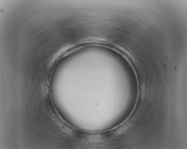 X0000080671363200612301349