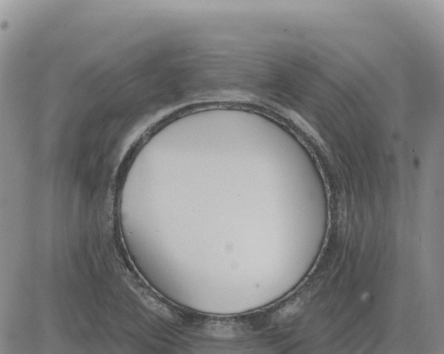 X0000080671364200612301349