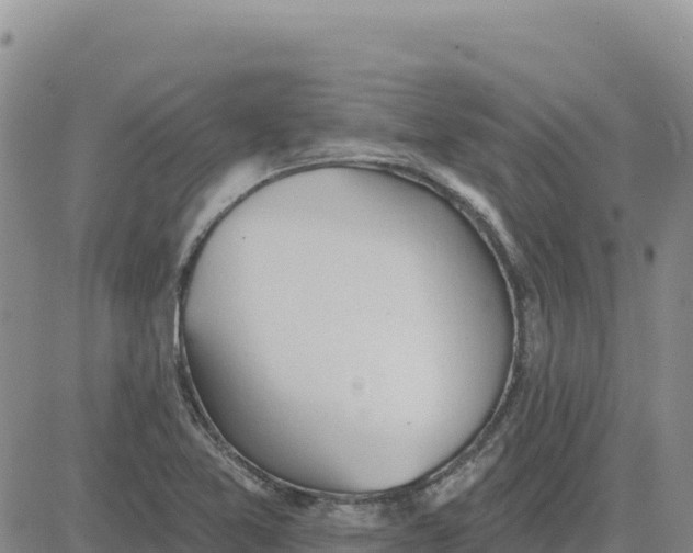 X0000080671365200612301349