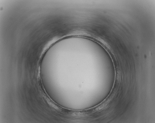 X0000080671366200612301349