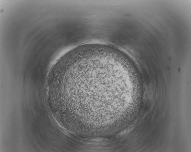 X0000080671367200612301349