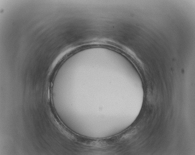 X0000080671368200612301349