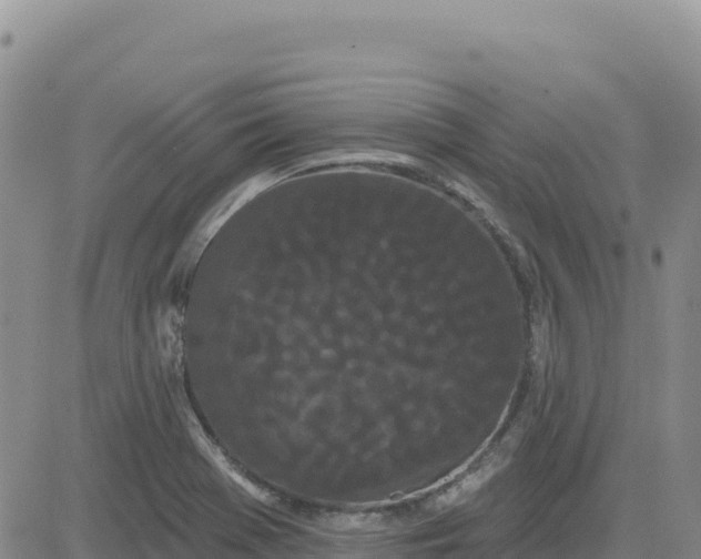 X0000080671369200612301349