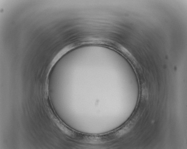 X0000080671370200612301349