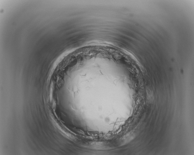 X0000080671371200612301349