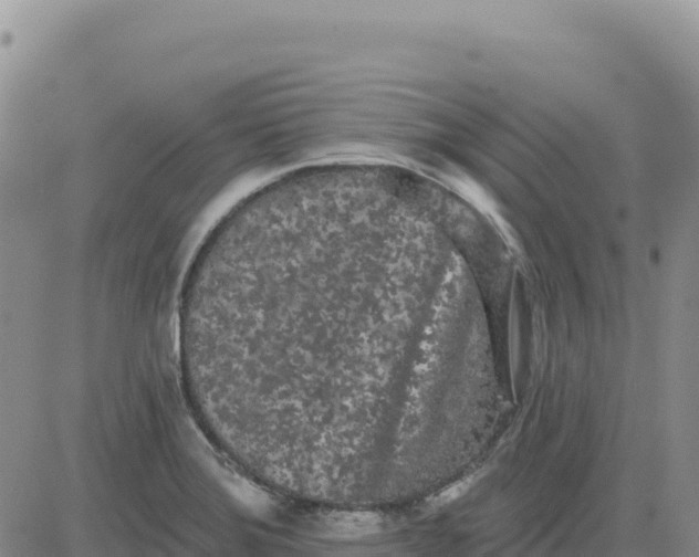 X0000080671372200612301349