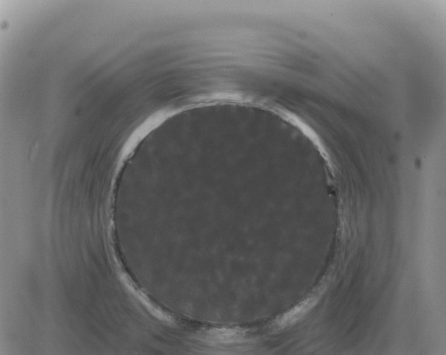 X0000080671373200612301349