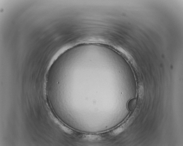 X0000080671374200612301349