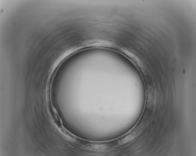 X0000080671375200612301349