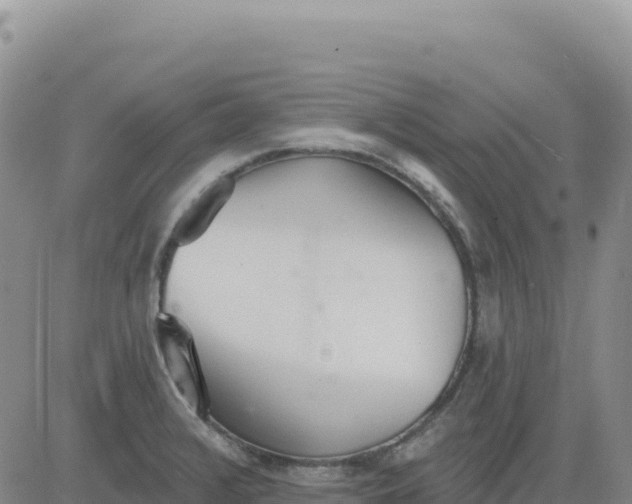 X0000080671376200612301349