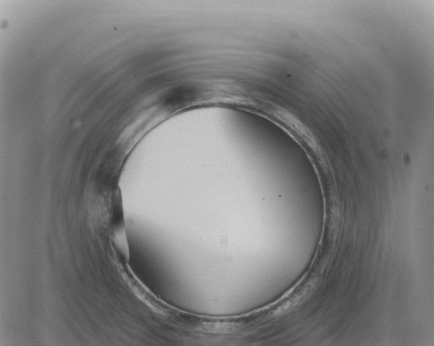 X0000080671377200612301349