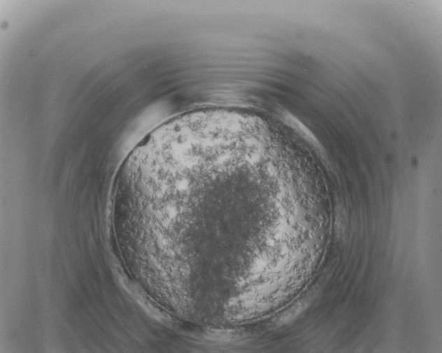 X0000080671378200612301349