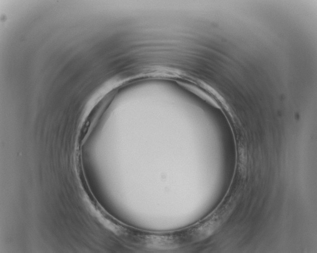 X0000080671379200612301349