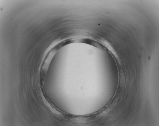 X0000080671380200612301349