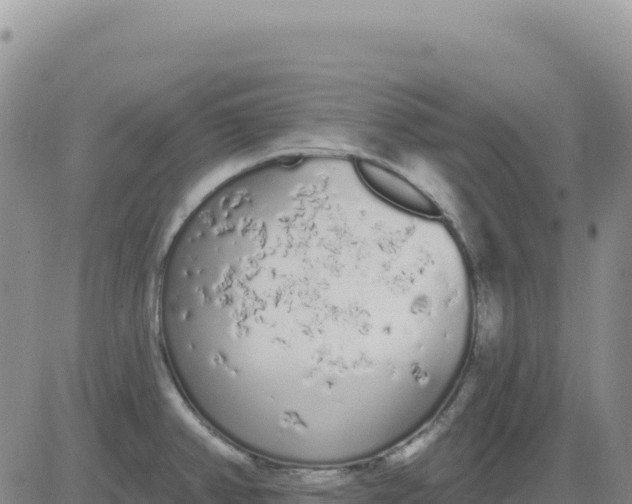 X0000080671382200612301349