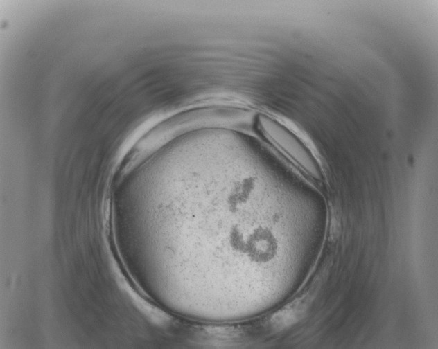 X0000080671383200612301349